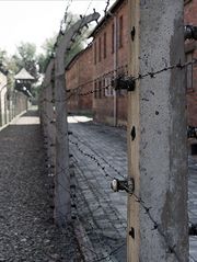 Auschwitz