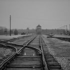 Auschwitz