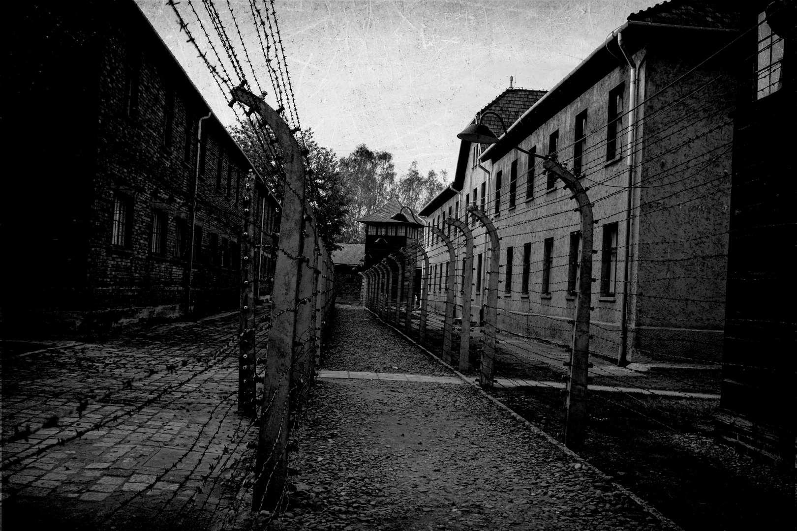 Auschwitz