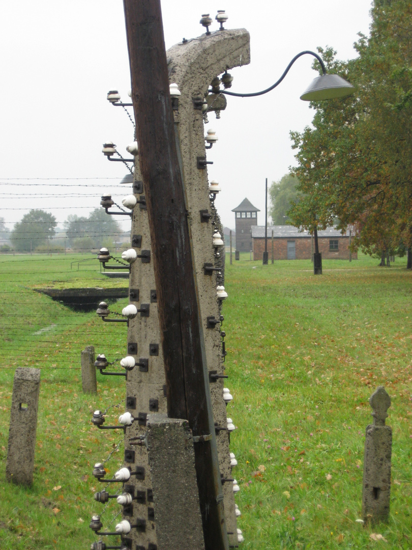 Auschwitz - Birkenau