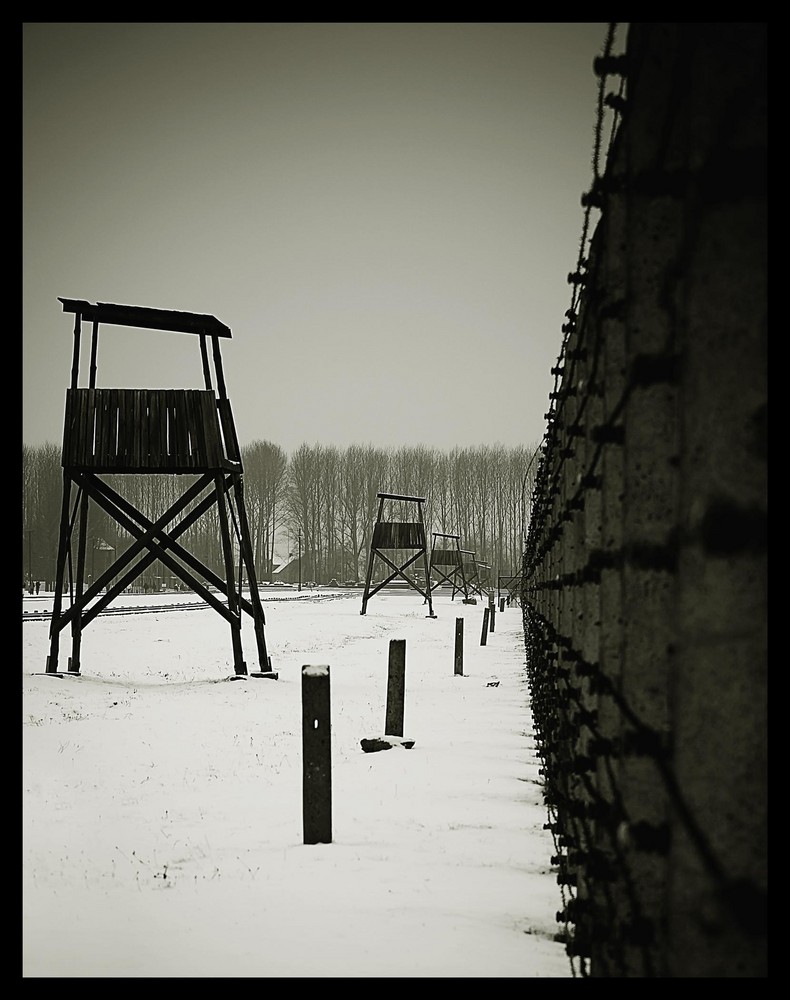 Auschwitz - Birkenau 05