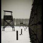 Auschwitz - Birkenau 05