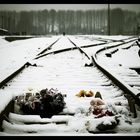 Auschwitz - Birkenau 07