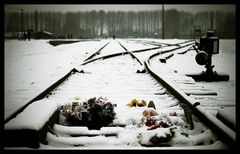 Auschwitz - Birkenau 07