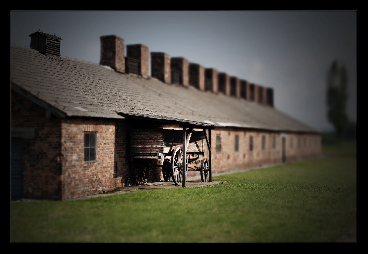 Auschwitz Birkenau