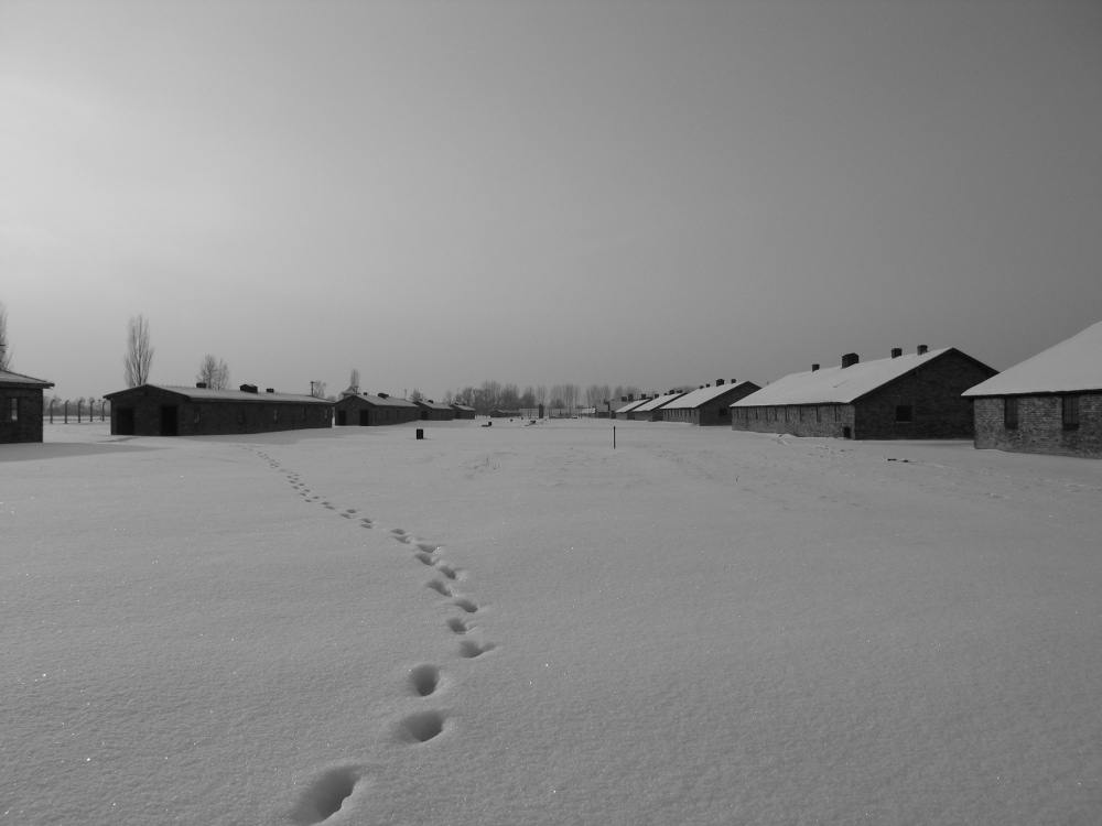 Auschwitz Birkenau (1) - Spuren im Schnee