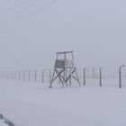 Auschwitz-Birkenau 2019 (10)