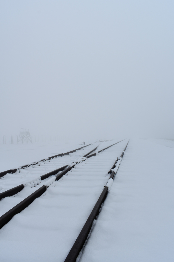 Auschwitz-Birkenau 2019 (13)