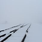 Auschwitz-Birkenau 2019 (13)