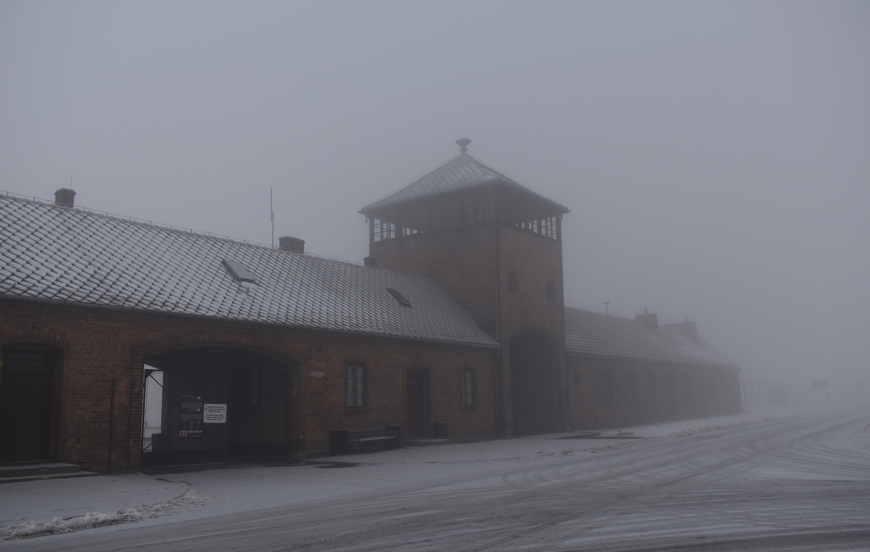 Auschwitz-Birkenau 2019 (14)