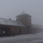 Auschwitz-Birkenau 2019 (14)
