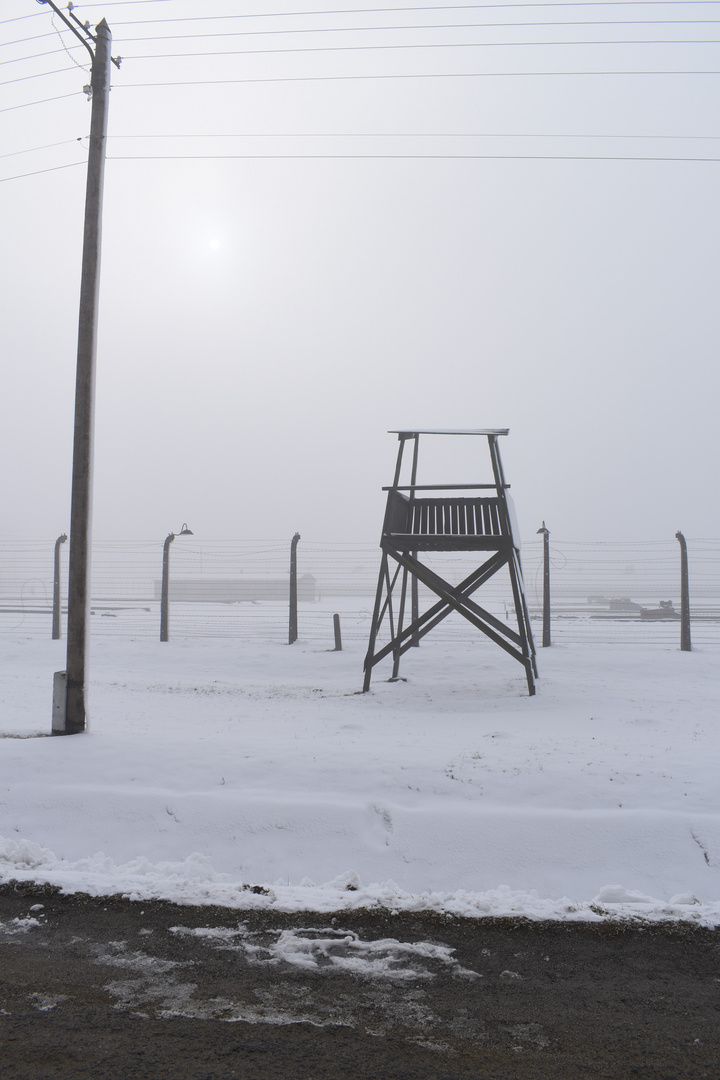 Auschwitz-Birkenau 2019 (16)