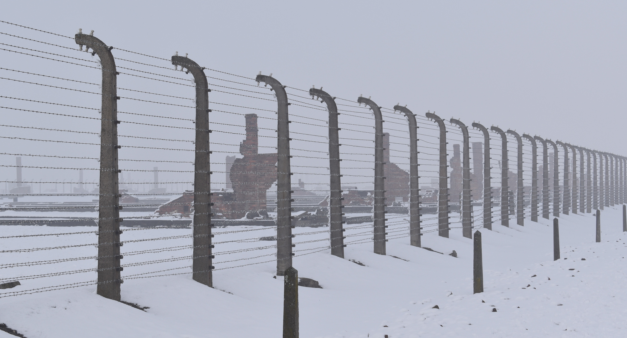 Auschwitz-Birkenau 2019 (19)