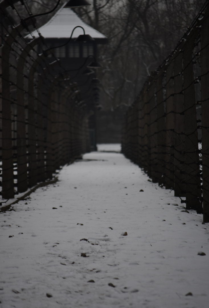 Auschwitz-Birkenau 2019 (22)