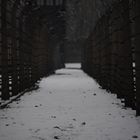 Auschwitz-Birkenau 2019 (22)