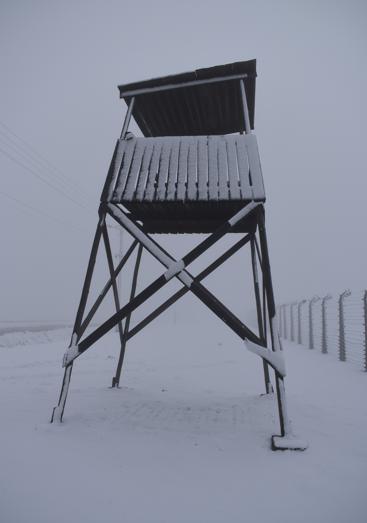 Auschwitz-Birkenau 2019 (24)