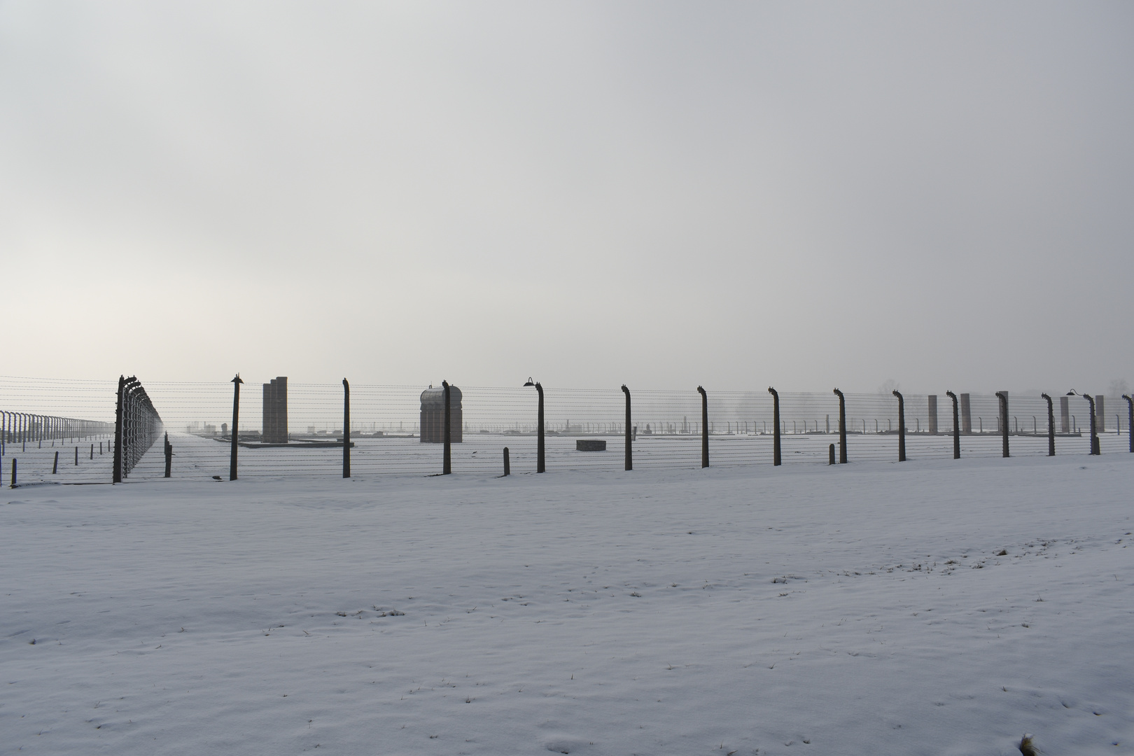 Auschwitz-Birkenau 2019 (27)