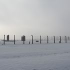 Auschwitz-Birkenau 2019 (27)