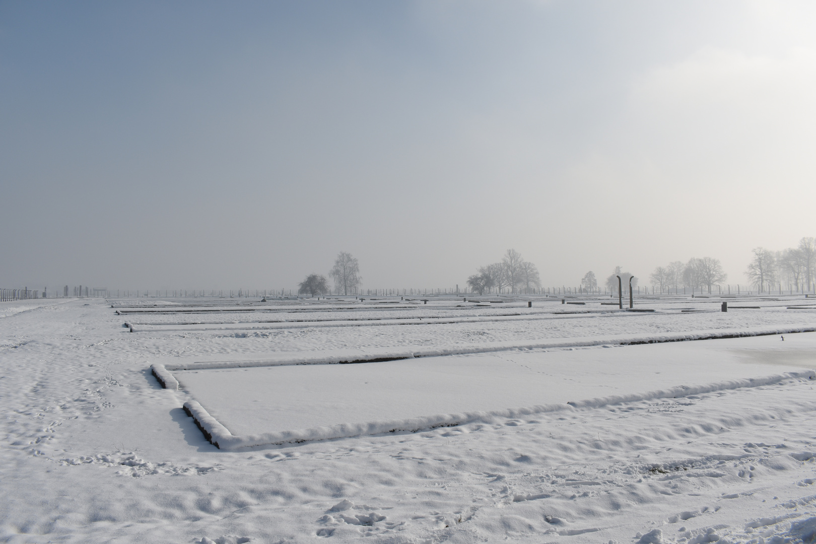 Auschwitz-Birkenau 2019 (29)