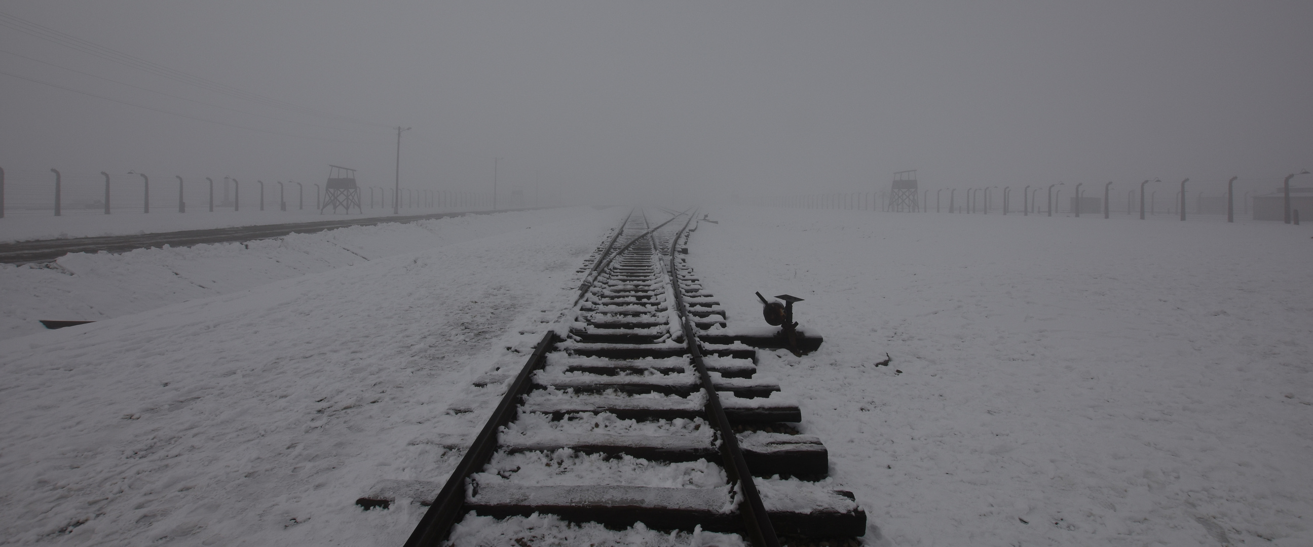 Auschwitz-Birkenau 2019 (3)