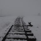 Auschwitz-Birkenau 2019 (3)