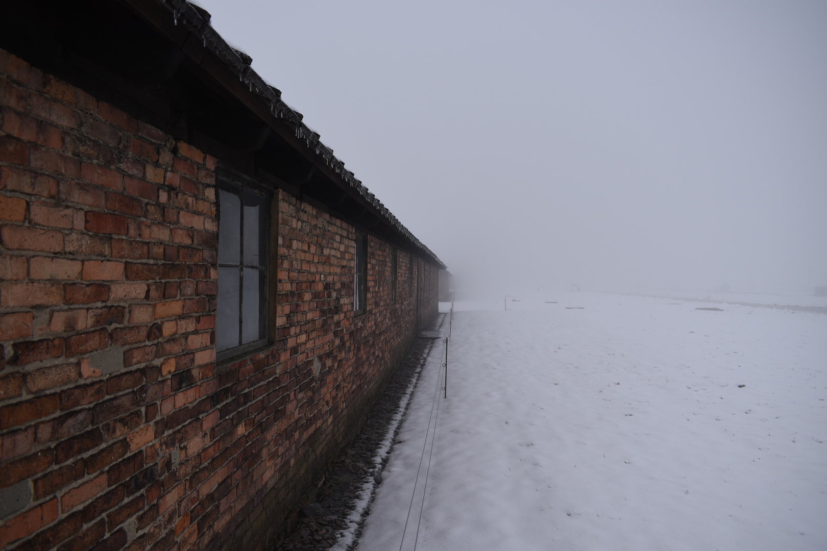 Auschwitz-Birkenau 2019 (4)