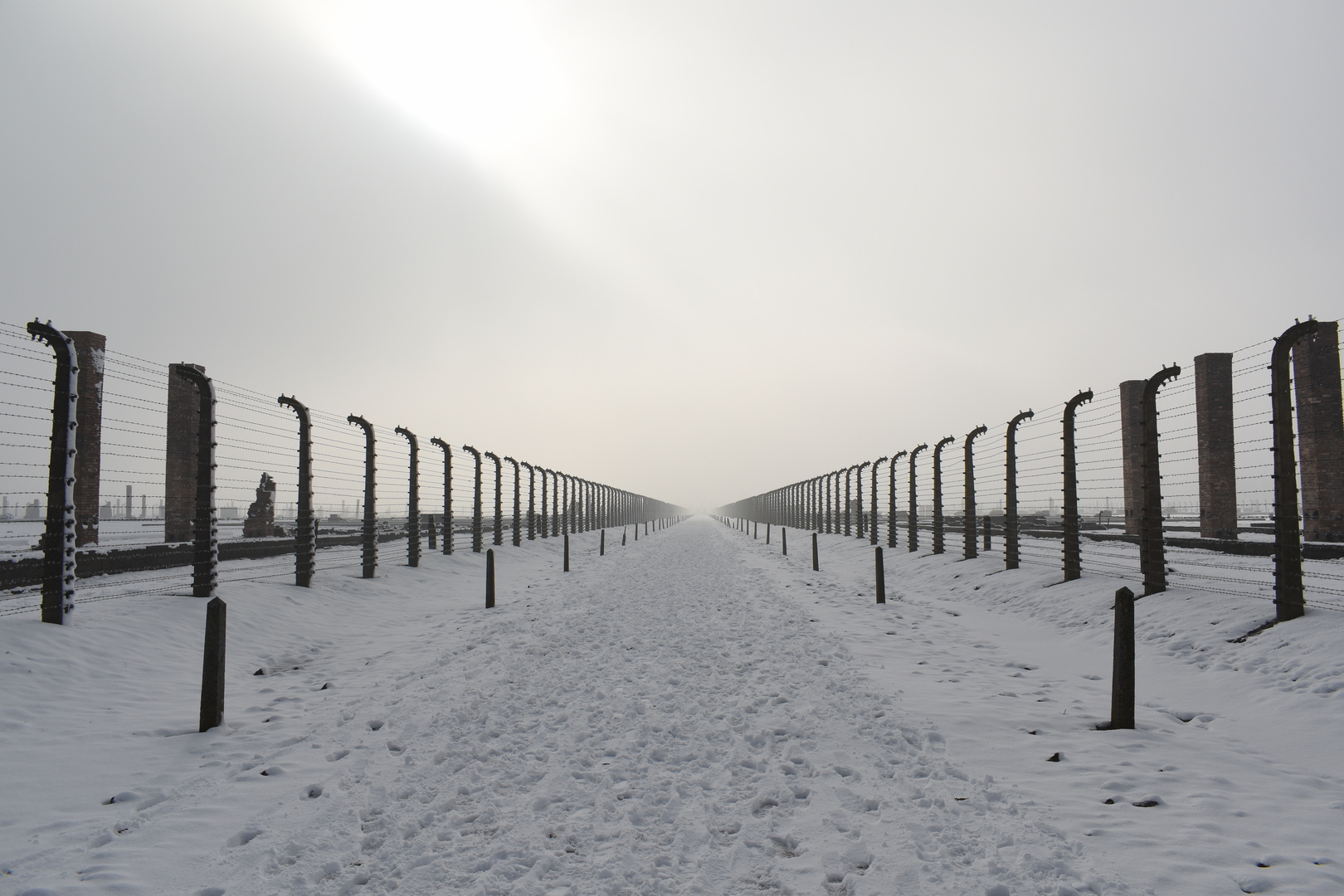 Auschwitz-Birkenau 2019 (6)