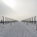 Auschwitz-Birkenau 2019 (6)