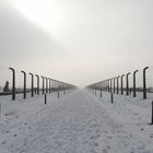 Auschwitz-Birkenau 2019 (6)