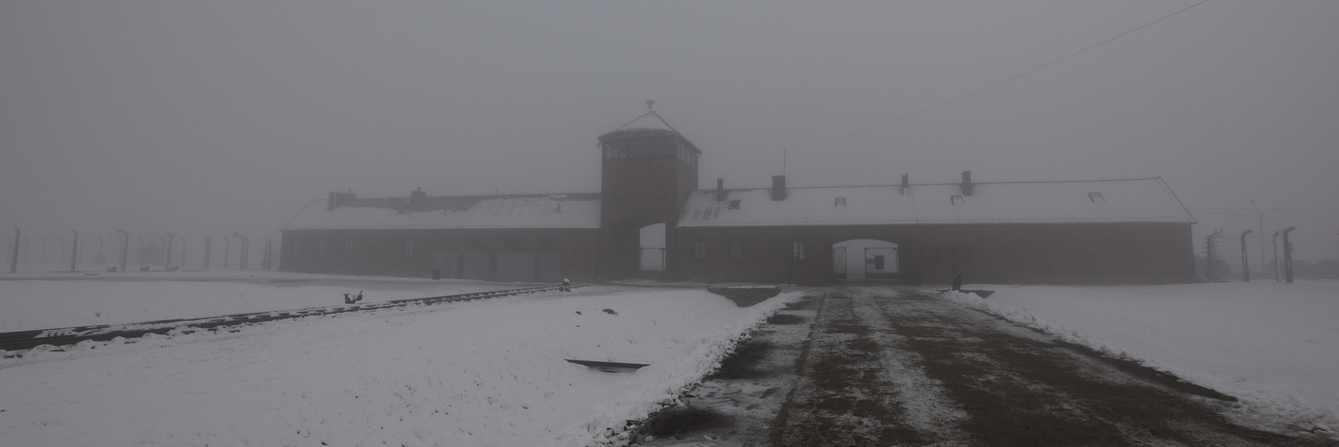 Auschwitz-Birkenau 2019 (7)