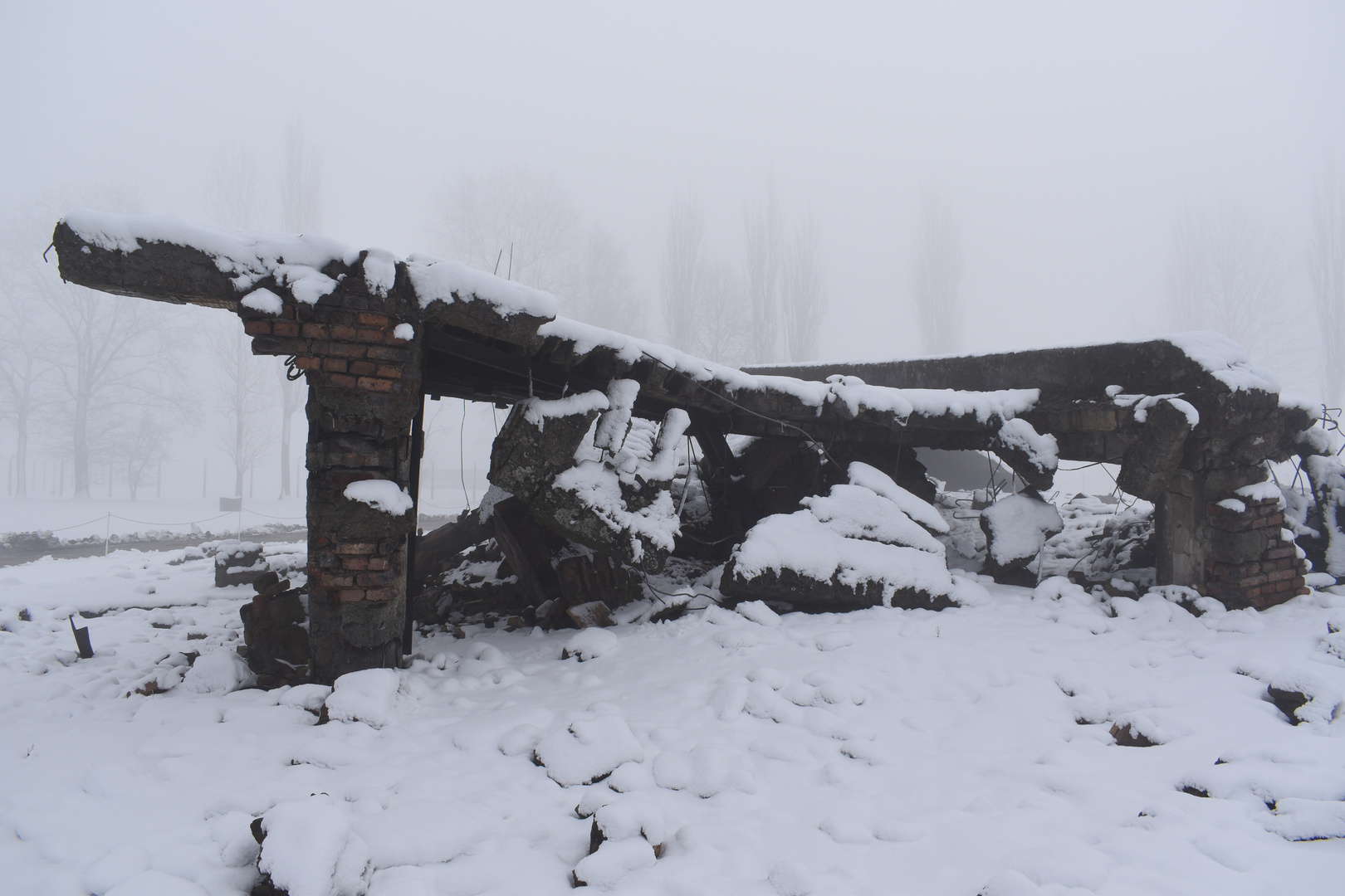 Auschwitz-Birkenau 2019 (9)