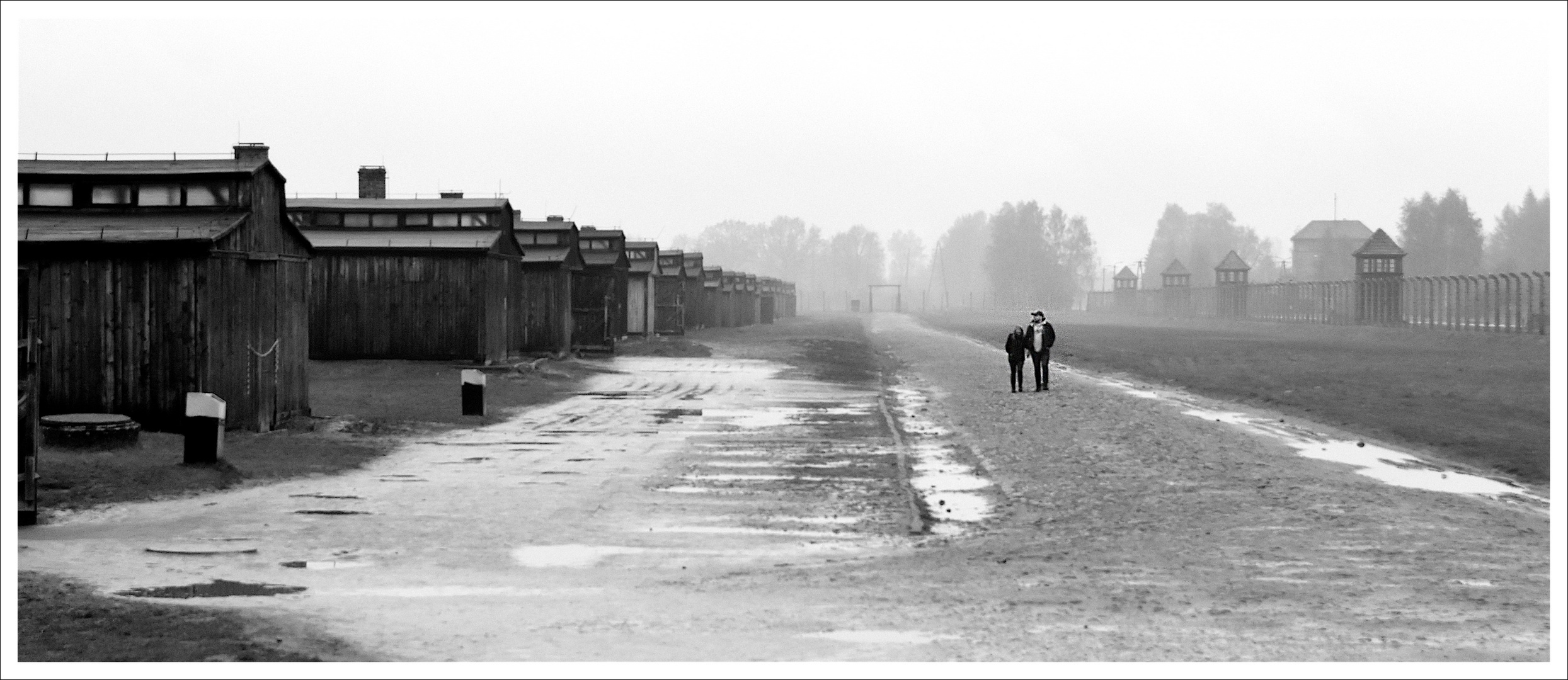 Auschwitz - Birkenau