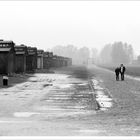 Auschwitz - Birkenau