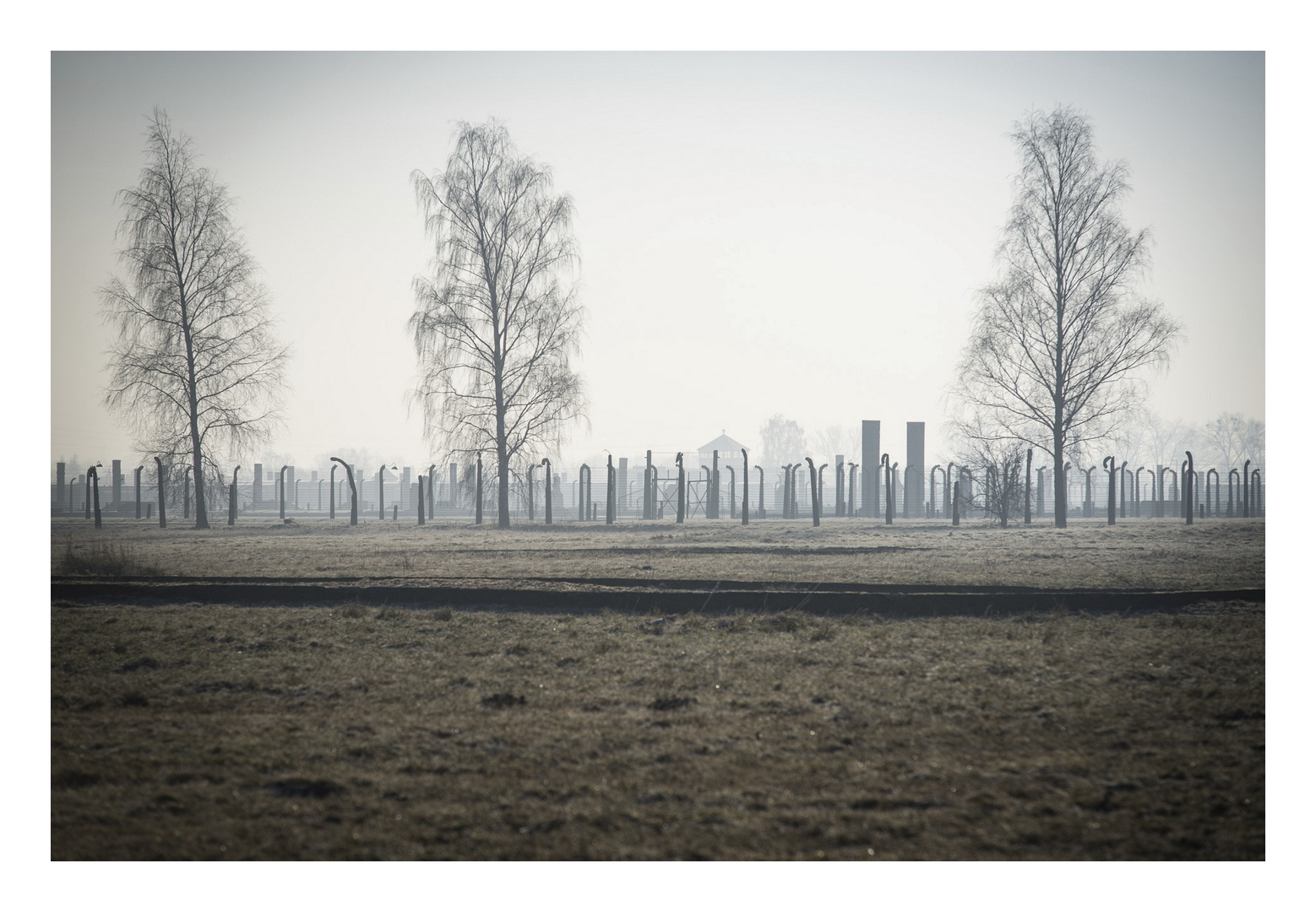 Auschwitz-Birkenau .4.