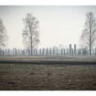 Auschwitz-Birkenau .4.