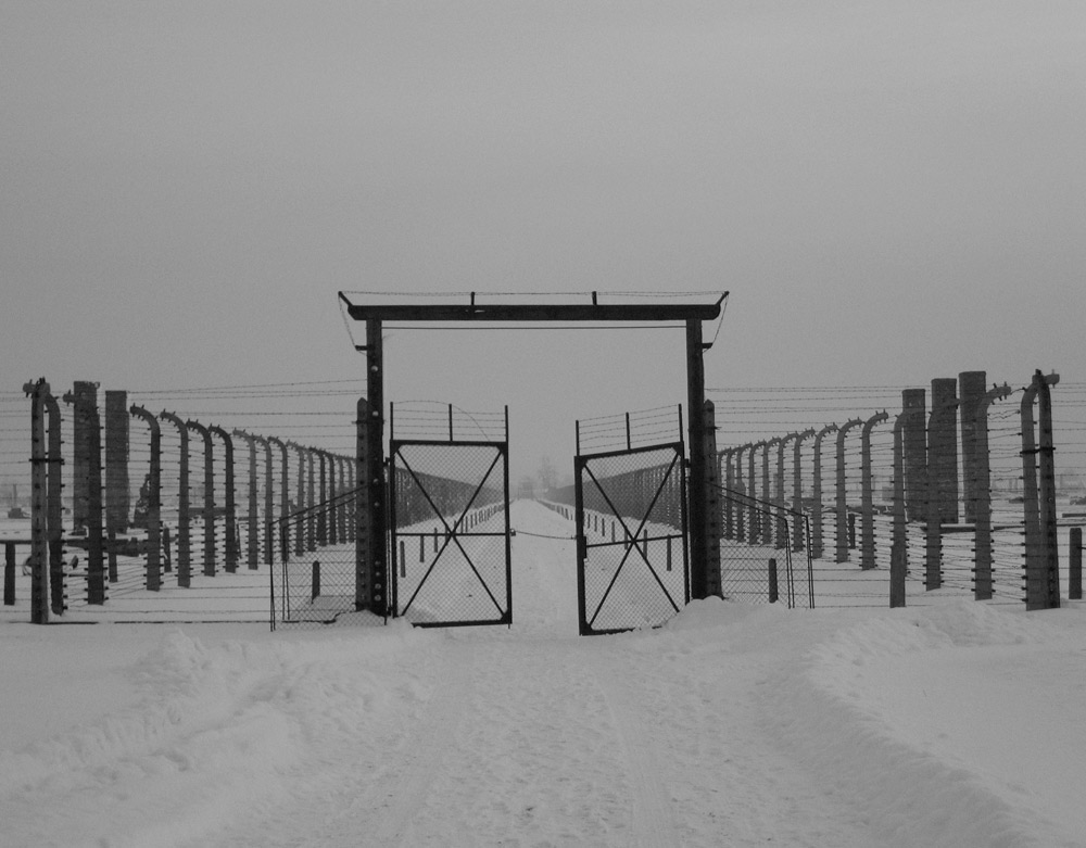 Auschwitz Birkenau (7) - Symmetrie