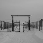 Auschwitz Birkenau (7) - Symmetrie