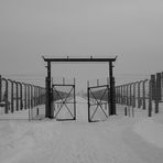 Auschwitz Birkenau (7) - Symmetrie