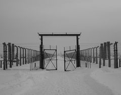 Auschwitz Birkenau (7) - Symmetrie