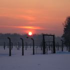 Auschwitz Birkenau (9) - Sonne über Auschwitz