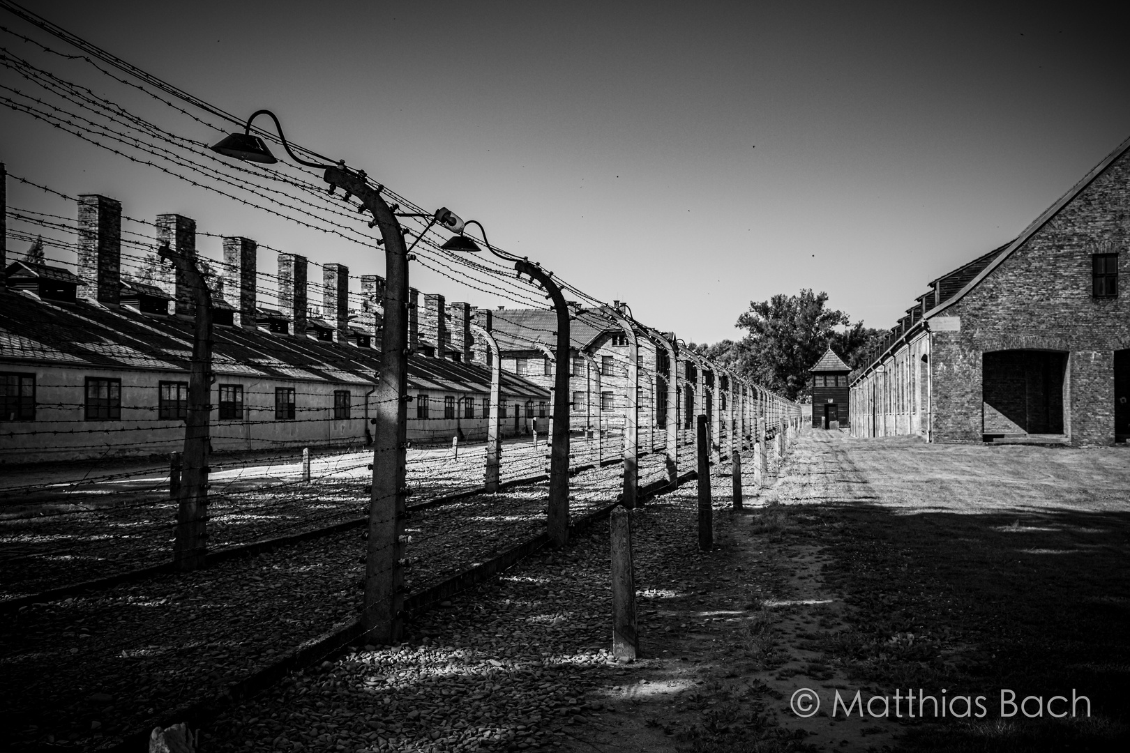 Auschwitz / Birkenau