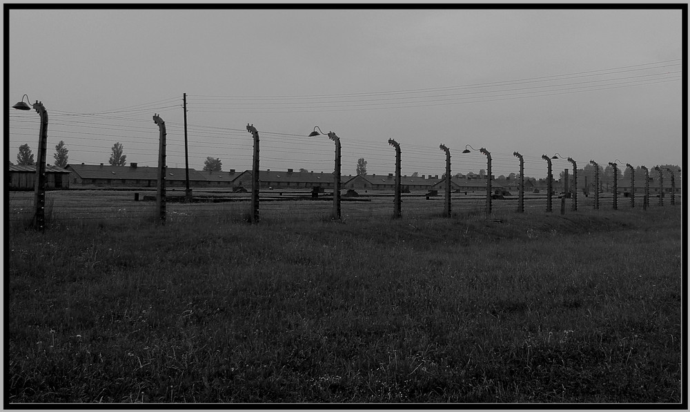 Auschwitz Birkenau II