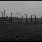 Auschwitz Birkenau II