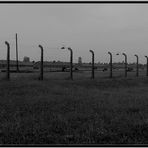 Auschwitz Birkenau II