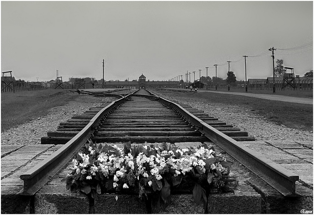 Auschwitz-Birkenau-la ferrovia della morte