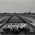 Auschwitz-Birkenau-la ferrovia della morte