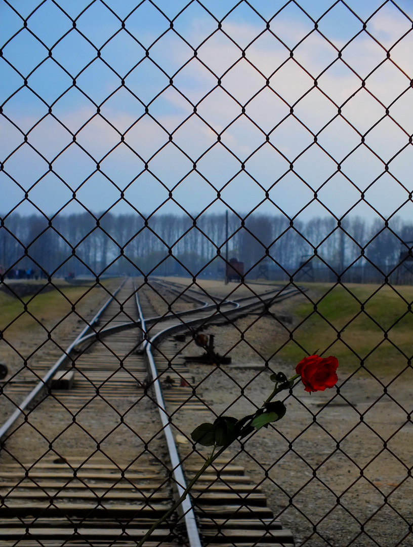 Auschwitz - Birkenau, Remember.