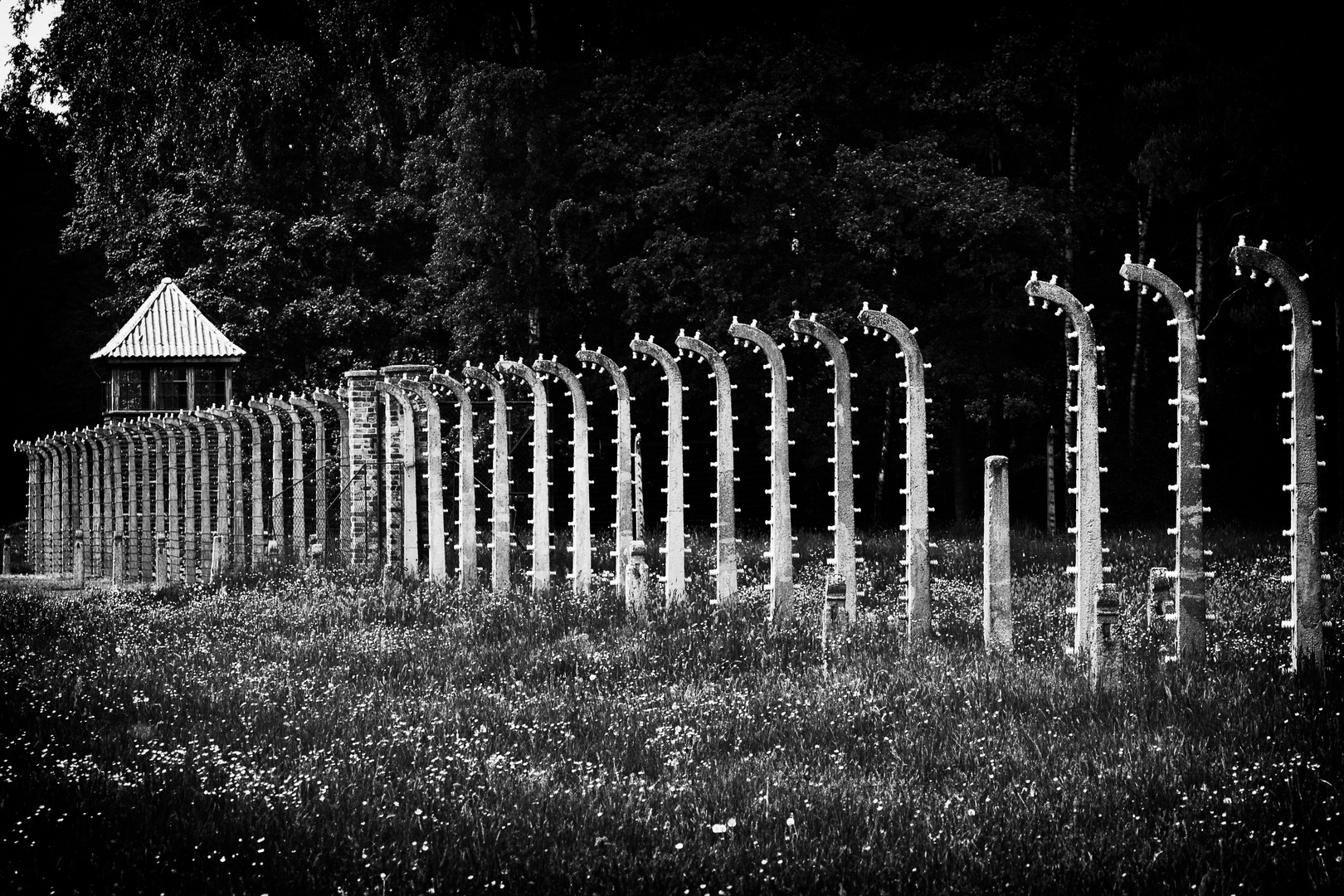 Auschwitz - Birkenau XII