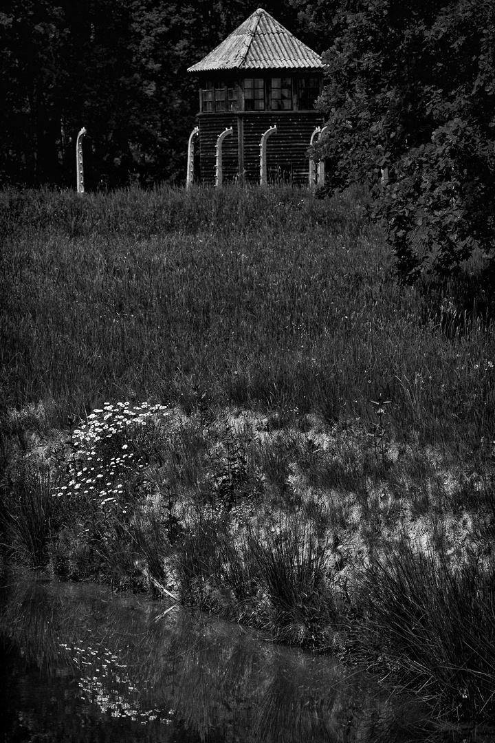 Auschwitz - Birkenau XV