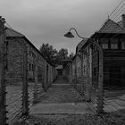 Auschwitz II